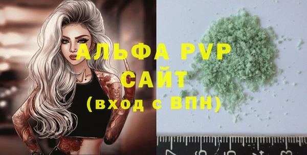 спиды Шали