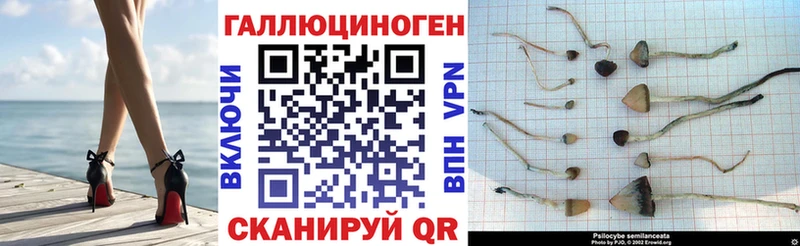 купить наркоту  Медногорск  Галлюциногенные грибы GOLDEN TEACHER 