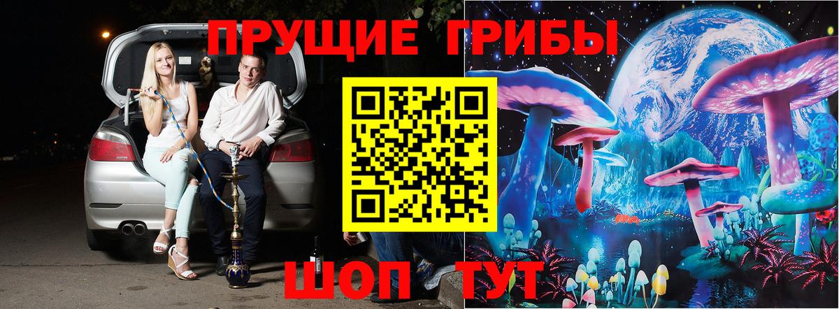 Галлюциногенные грибы Psilocybine cubensis Медногорск